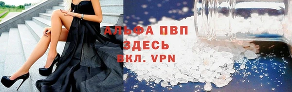 прущие грибы Кинешма