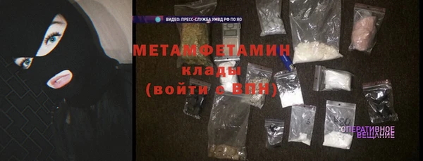 прущие грибы Кинешма