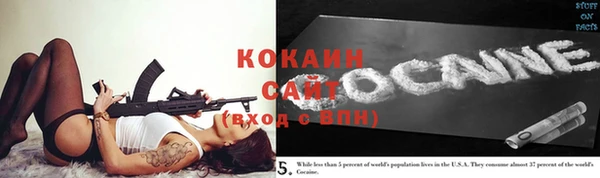 прущие грибы Кинешма