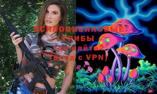прущие грибы Кинешма