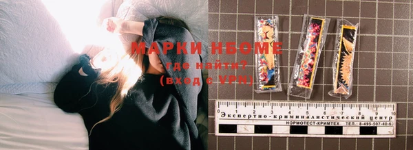 прущие грибы Кинешма