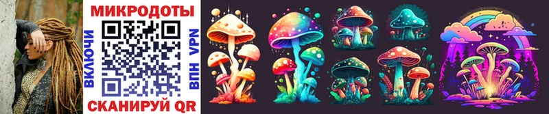 Псилоцибиновые грибы Psilocybine cubensis  Купить где  Краснотурьинск 